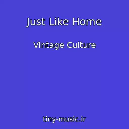 کاور آهنگ Just Like Home از Vintage Culture