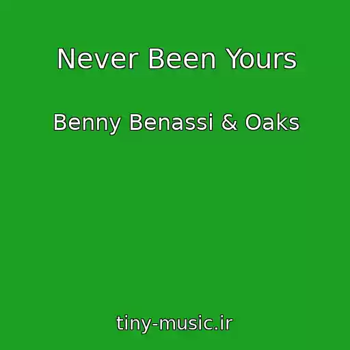 کاور آهنگ Never Been Yours از Benny Benassi & Oaks