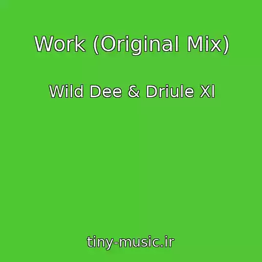 کاور آهنگ Work (Original Mix) از Wild Dee & Driule Xl