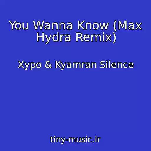 کاور آهنگ You Wanna Know (Max Hydra Remix) از Xypo & Kyamran Silence