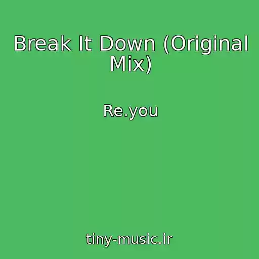 کاور آهنگ Break It Down (Original Mix) از Re.you