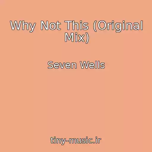 کاور آهنگ Why Not This (Original Mix) از Seven Wells