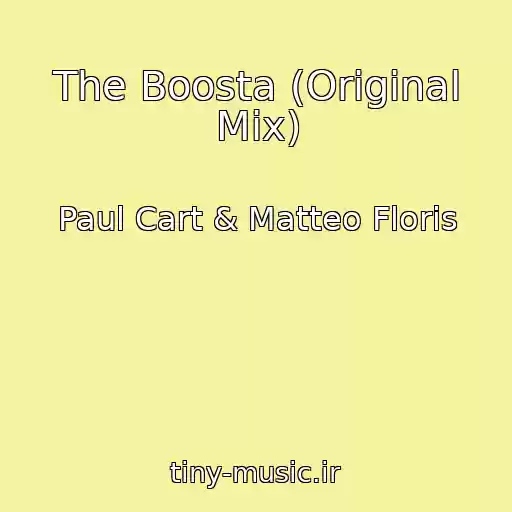کاور آهنگ The Boosta (Original Mix) از Paul Cart & Matteo Floris