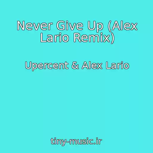 کاور آهنگ Never Give Up (Alex Lario Remix) از Upercent & Alex Lario