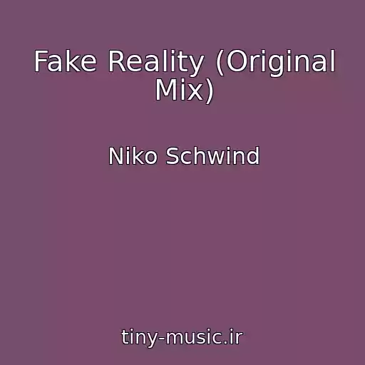 کاور آهنگ Fake Reality (Original Mix) از Niko Schwind