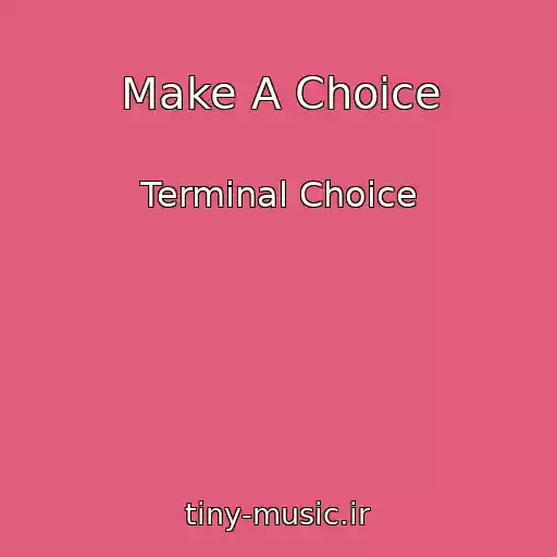 کاور آهنگ Make A Choice از Terminal Choice