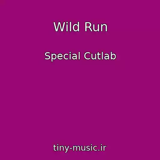 کاور آهنگ Wild Run از Special Cutlab