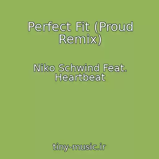 کاور آهنگ Perfect Fit (Proud Remix) از Niko Schwind Feat. Heartbeat