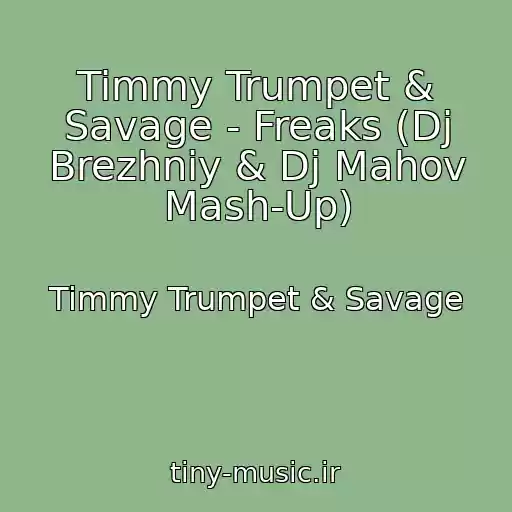 کاور آهنگ Timmy Trumpet & Savage - Freaks (Dj Brezhniy & Dj Mahov Mash-Up) از Timmy Trumpet & Savage