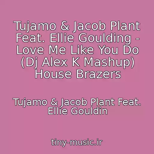 کاور آهنگ Tujamo & Jacob Plant Feat. Ellie Goulding - Love Me Like You Do (Dj Alex K Mashup) House Brazers از Tujamo & Jacob Plant Feat. Ellie Gouldin