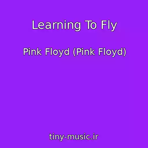 کاور آهنگ Learning To Fly از Pink Floyd (Pink Floyd)