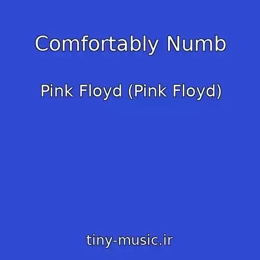 کاور آهنگ Comfortably Numb از Pink Floyd (Pink Floyd)