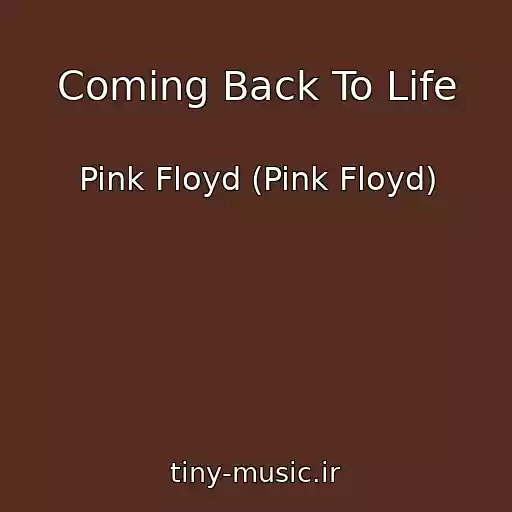 کاور آهنگ Coming Back To Life از Pink Floyd (Pink Floyd)