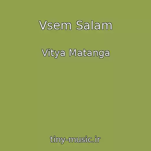 کاور آهنگ Vsem Salam از Vitya Matanga