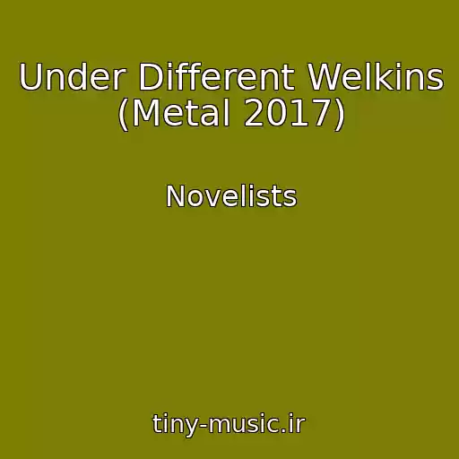 کاور آهنگ Under Different Welkins (Metal 2017) از Novelists