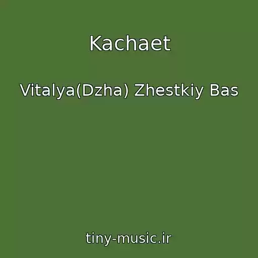 کاور آهنگ Kachaet از Vitalya(Dzha) Zhestkiy Bas