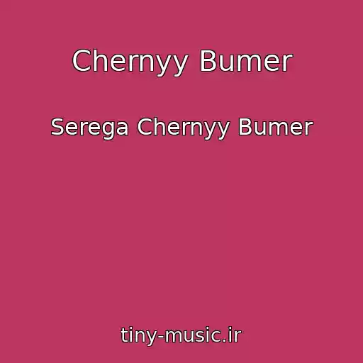 کاور آهنگ Chernyy Bumer از Serega Chernyy Bumer