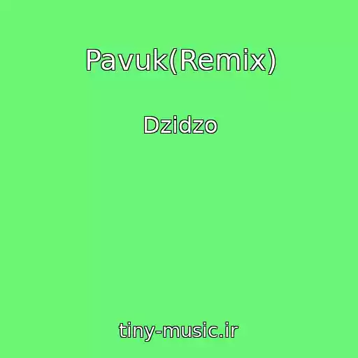 کاور آهنگ Pavuk(Remix) از Dzidzo