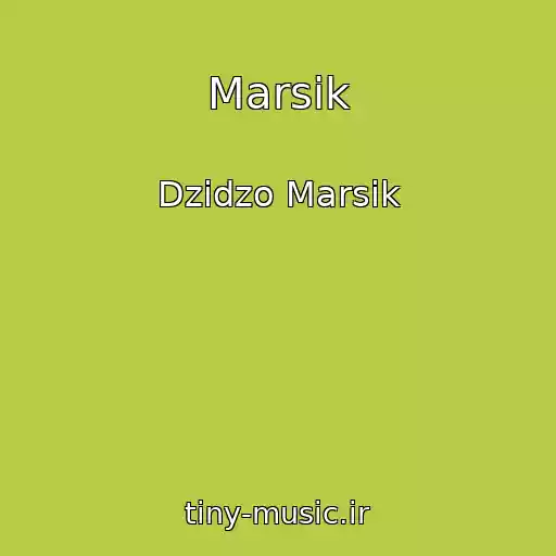 کاور آهنگ Marsik از Dzidzo Marsik