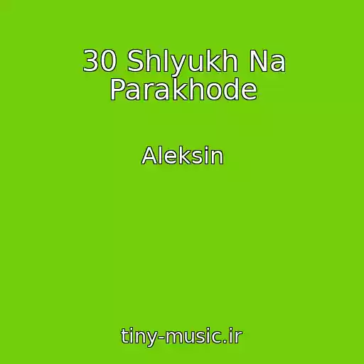 کاور آهنگ 30 Shlyukh Na Parakhode از Aleksin