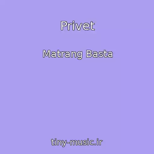 کاور آهنگ Privet از Matrang Basta