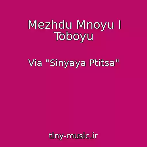 کاور آهنگ Mezhdu Mnoyu I Toboyu از Via "Sinyaya Ptitsa"