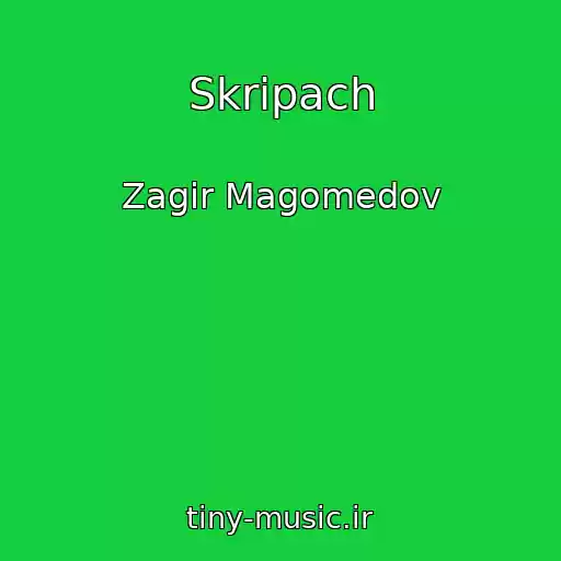 کاور آهنگ Skripach از Zagir Magomedov