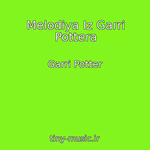 کاور آهنگ Melodiya Iz Garri Pottera از Garri Potter
