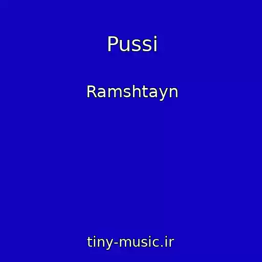 کاور آهنگ Pussi از Ramshtayn
