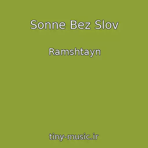 کاور آهنگ Sonne Bez Slov از Ramshtayn