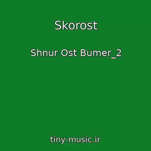 کاور آهنگ Skorost از Shnur Ost Bumer_2