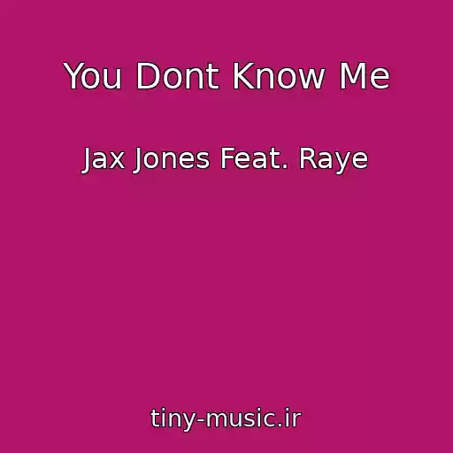 کاور آهنگ You Dont Know Me از Jax Jones Feat. Raye