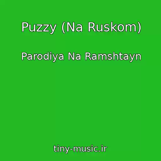 کاور آهنگ Puzzy (Na Ruskom) از Parodiya Na Ramshtayn