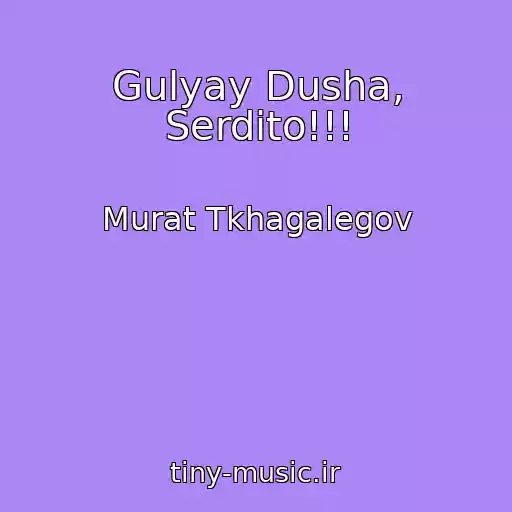 کاور آهنگ Gulyay Dusha, Serdito!!! از Murat Tkhagalegov