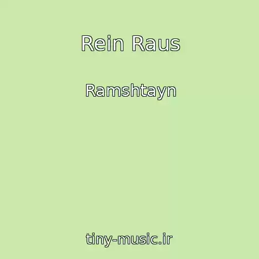 کاور آهنگ Rein Raus از Ramshtayn