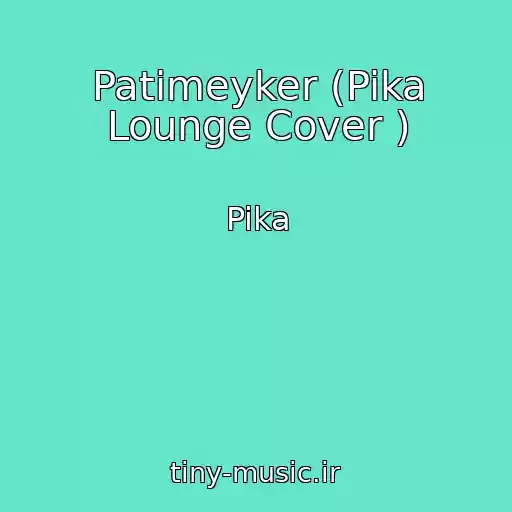 کاور آهنگ Patimeyker (Pika Lounge Cover ) از Pika