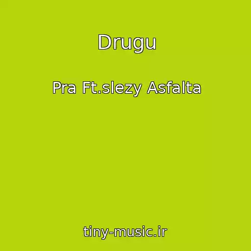 کاور آهنگ Drugu از Pra Ft.slezy Asfalta