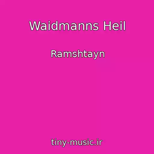 کاور آهنگ Waidmanns Heil از Ramshtayn