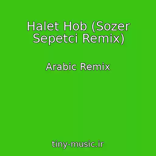 کاور آهنگ Halet Hob (Sozer Sepetci Remix) از Arabic Remix