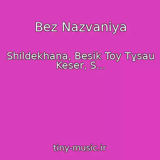 کاور آهنگ Bez Nazvaniya از Shіldekhana, Besіk Toy Tұsau Keser, S...