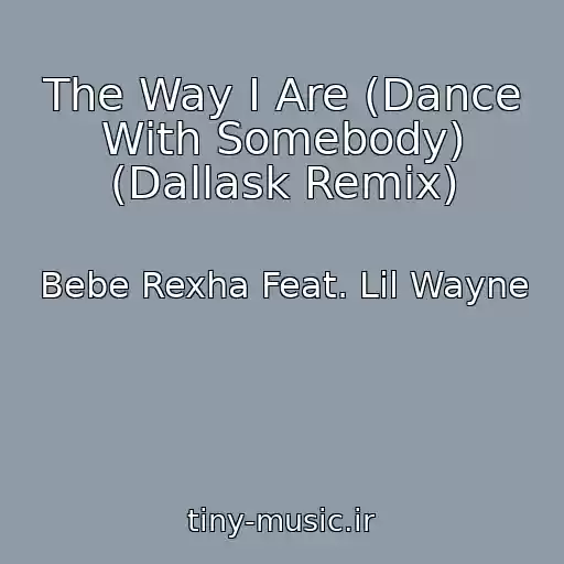 کاور آهنگ The Way I Are (Dance With Somebody) (Dallask Remix) از Bebe Rexha Feat. Lil Wayne