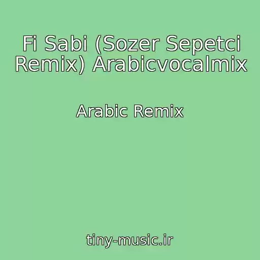 کاور آهنگ Fi Sabi (Sozer Sepetci Remix) Arabicvocalmix از Arabic Remix