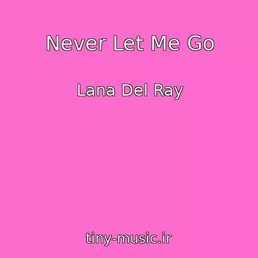 کاور آهنگ Never Let Me Go از Lana Del Ray