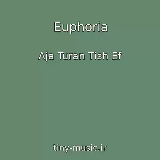 کاور آهنگ Euphoria از Aja Turan Tish Ef