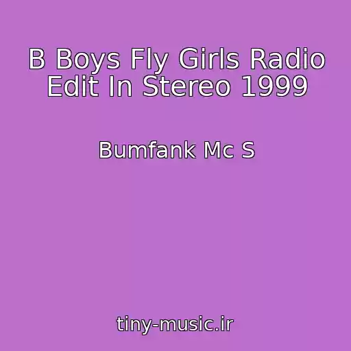 کاور آهنگ B Boys Fly Girls Radio Edit In Stereo 1999 از Bumfank Mc S