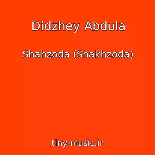 کاور آهنگ Didzhey Abdula از Shahzoda (Shakhzoda)