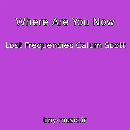 کاور آهنگ Where Are You Now از Lost Frequencies Calum Scott