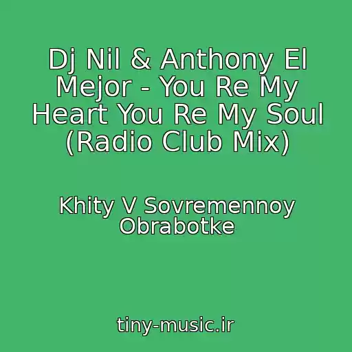 کاور آهنگ Dj Nil & Anthony El Mejor - You Re My Heart You Re My Soul (Radio Club Mix) از Khity V Sovremennoy Obrabotke