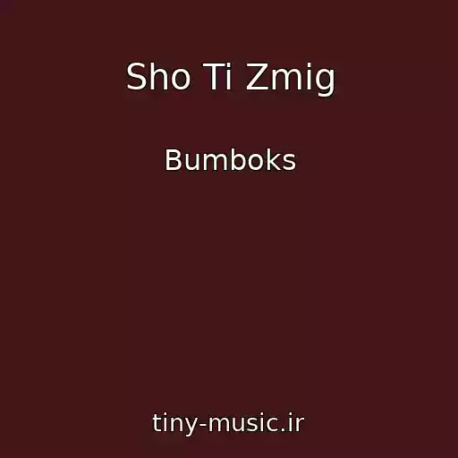 کاور آهنگ Sho Ti Zmіg از Bumboks