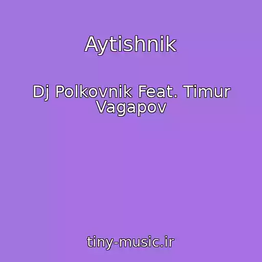 کاور آهنگ Aytishnik از Dj Polkovnik Feat. Timur Vagapov